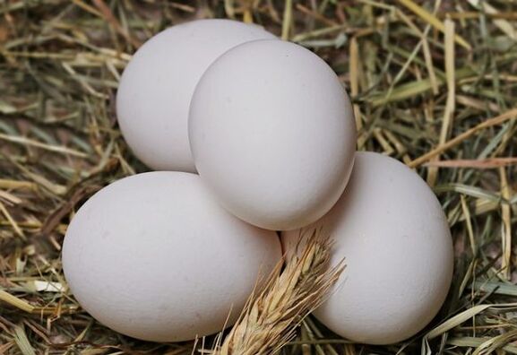 A tojásdiéta magában foglalja a csirketojások napi fogyasztását. 